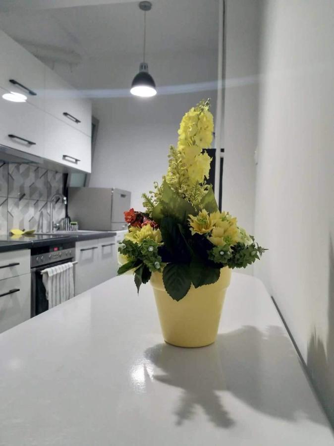 A Convenient Apartment In The Heart Of アテネ エクステリア 写真